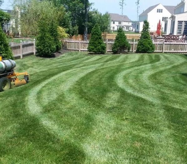 Lawn Care in Grant — White Bear Outdoor Services — photo 3