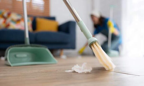 Regular Cleaning