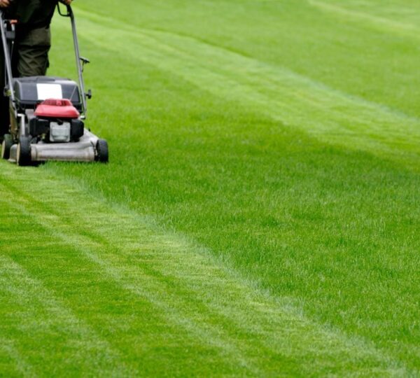 Lawn Care