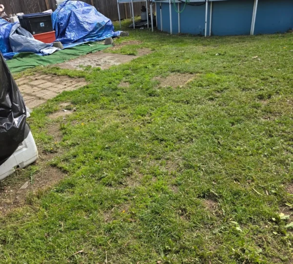 Precision Lawn Mowing & Edging