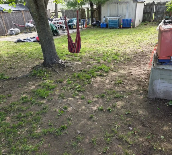 Landscaping