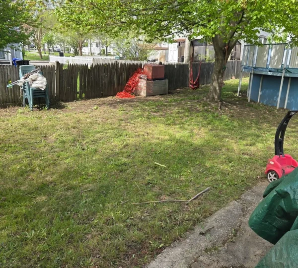Lawn Care in Boston — T Davis Lawn Service — photo 13