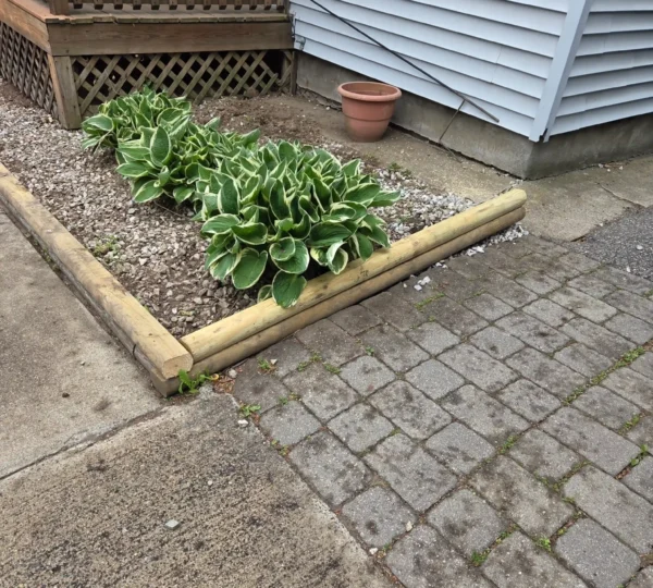 Yard Maintenance