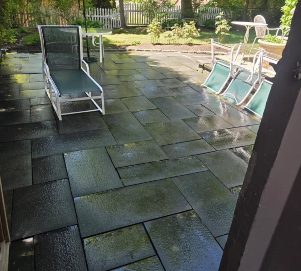 Yard Cleanup & Waste Removal
