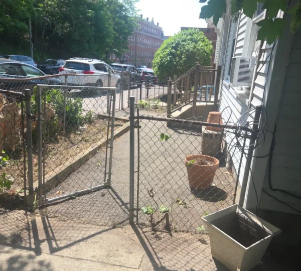 Lawn Care in Boston — T Davis Lawn Service — photo 2