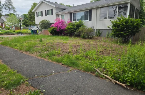 T Davis Lawn Service