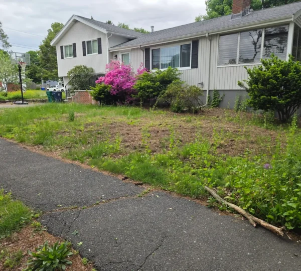Lawn Care in Boston — T Davis Lawn Service — photo 1