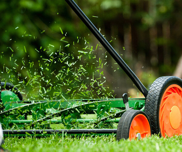 Garden Care, Maintenance & Installation