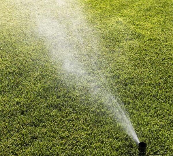Lawn Care in Grant — White Bear Outdoor Services — photo 6