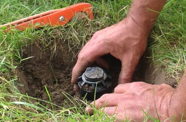 Lawn Care in Grant — White Bear Outdoor Services — photo 7
