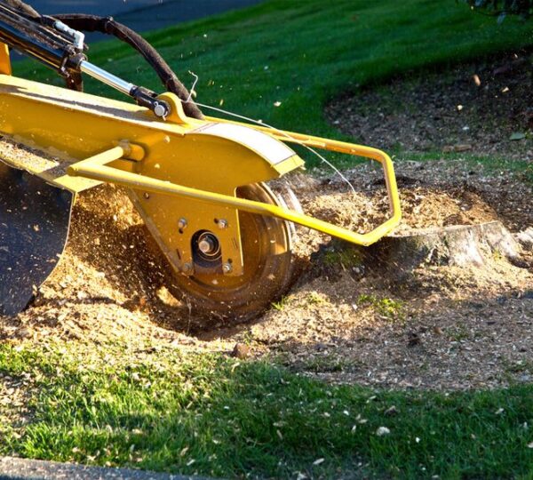 Stump Grinding