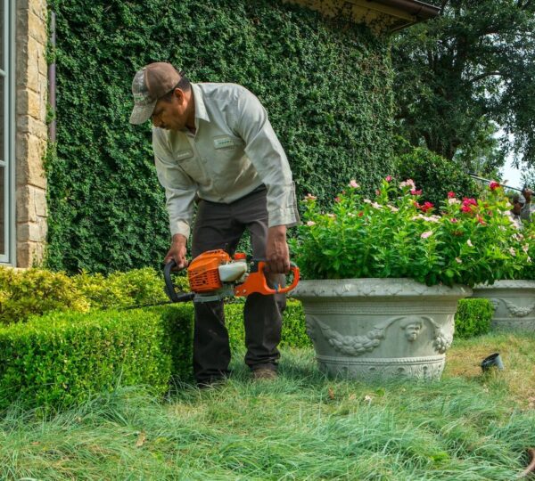 Lawn Care in Brockton — T Davis Lawn Service — photo 5
