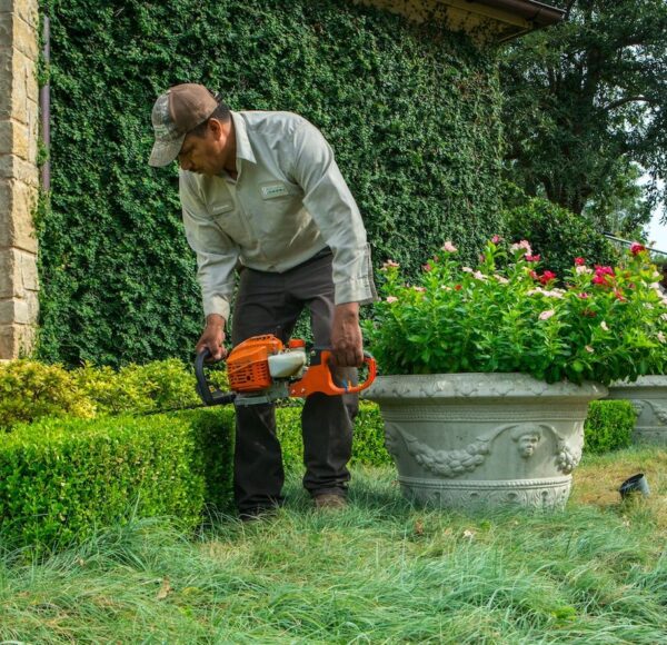 T Davis Lawn Service