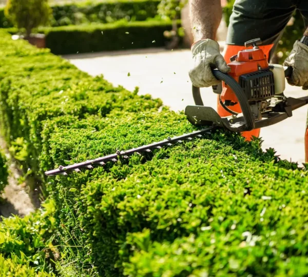 Lawn Care in Brockton — T Davis Lawn Service — photo 7