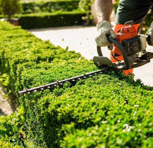 T Davis Lawn Service
