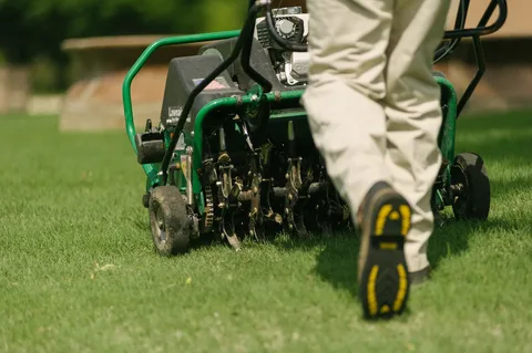 Lawn Care in Grant — White Bear Outdoor Services — photo 5