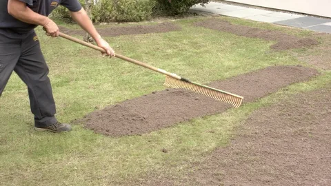 Lawn Care in Grant — White Bear Outdoor Services — photo 4