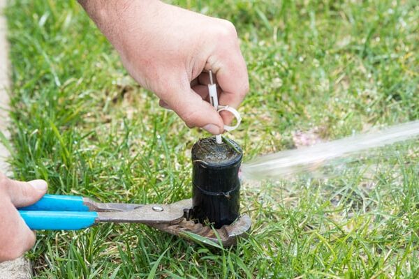 Lawn Care in Grant — White Bear Outdoor Services — photo 8