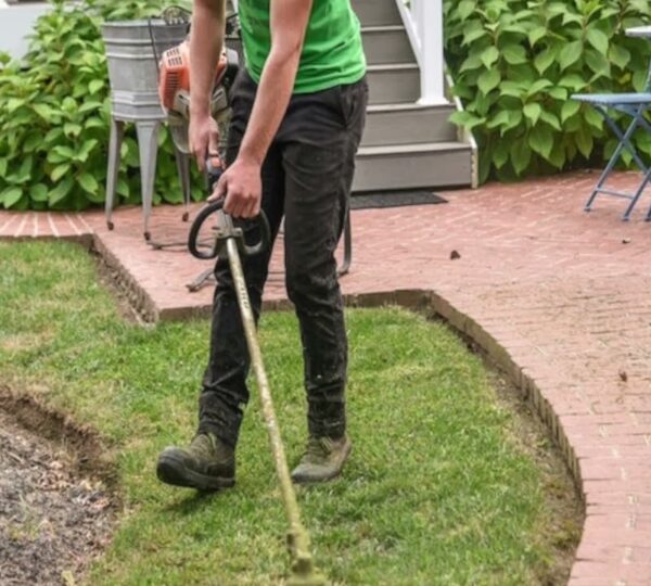 Lawn Care in Brockton — T Davis Lawn Service — photo 4