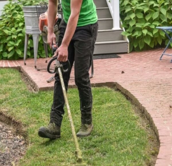 T Davis Lawn Service