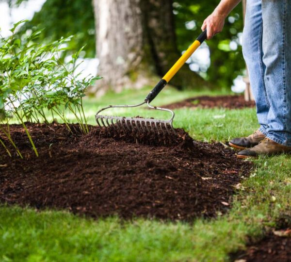 Mulching Installation