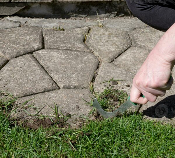 Grass Removal