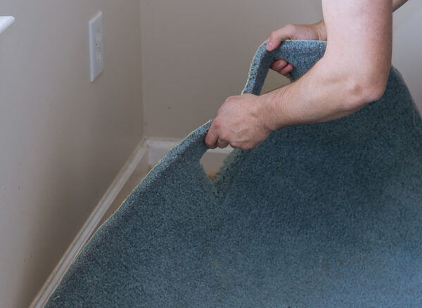 Carpet Removal