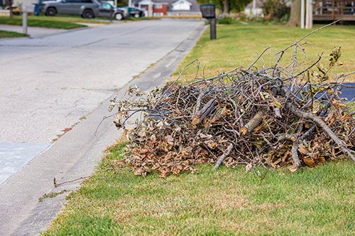 Lawn Care in Randolph — T Davis Yard Services in Boston, MA — photo 3