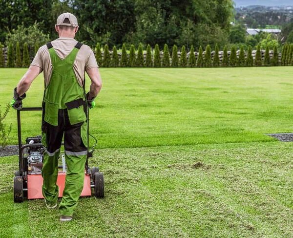 Lawn Care in Randolph — T Davis Yard Services in Boston, MA — photo 7