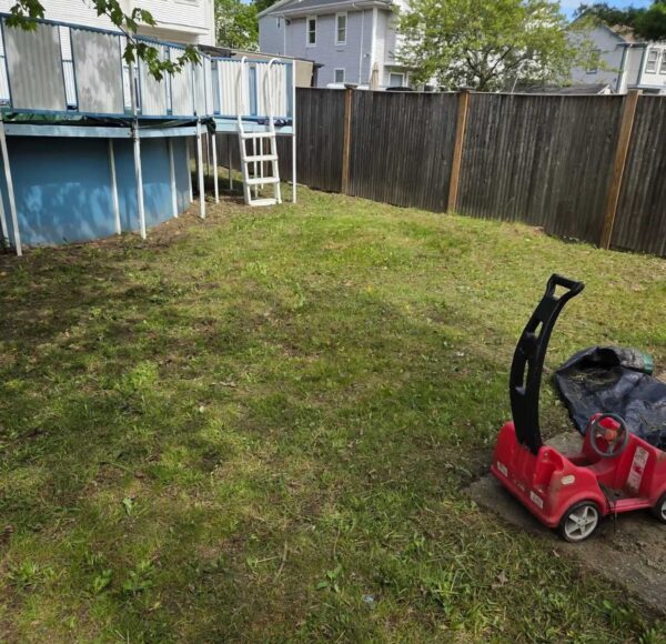 T Davis Lawn Service