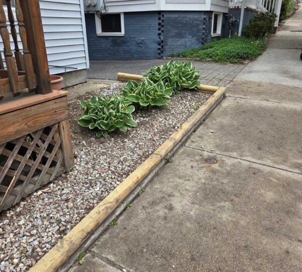 Lawn Care in Brockton — T Davis Lawn Service — photo 3