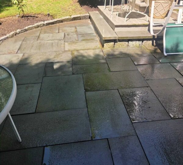 Lawn Care in Brockton — T Davis Lawn Service — photo 1